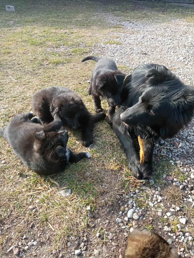 Luna mit Kindern