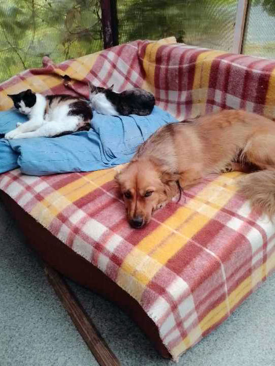 Lunka 1 Jahr alt
